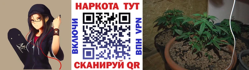 Виды наркоты Сурск A-PVP гидра сайт Меф мяу мяу ГАШИШ Кокаин