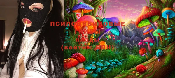 PSILOCYBIN Алексин