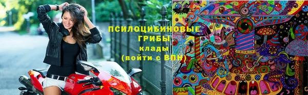 прущий лед Магас