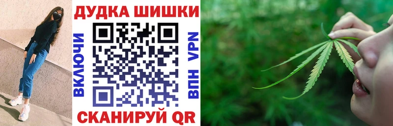 Шишки марихуана сатива  Сурск 
